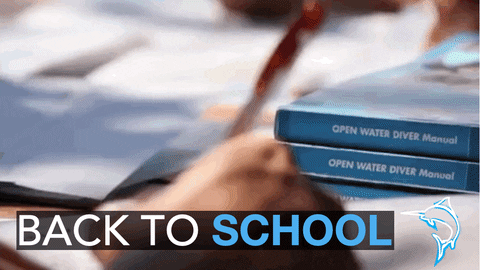 Educate Me Back To School GIF by BMKL