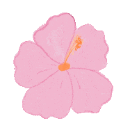 peaceofmind_ec pink flower flowers floral Sticker