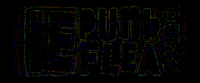 Iepunkflea GIF by Rad Coffee
