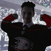 ice hockey sport GIF by NHL