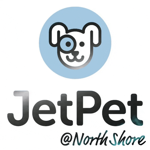 Jetpetresort  GIF
