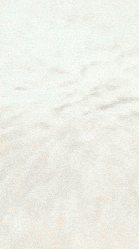 Jasper Chuckecheese GIF by Youtooz