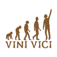 Festival Part Sticker by DM7 Bookings