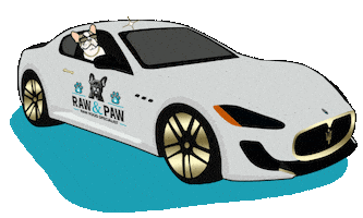 Dog Car Sticker by Raw And Paw Co
