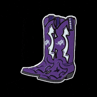 University Texas GIF by Pinned Pins