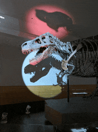 FMNH dinosaur t rex field museum sue the t rex GIF