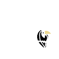 Education First Pura Vida Sticker by efmoment