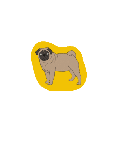 shopfrankiesue dog yellow pug st pete Sticker