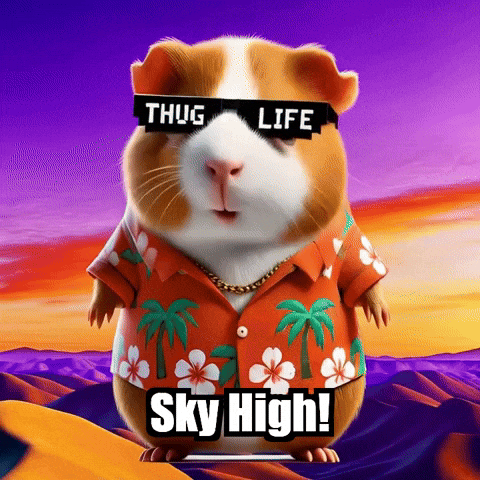 GIF by Guinea Gambino