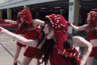 Cat This Is For GIF