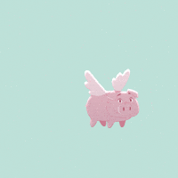 Flying Pig Lol GIF by PositivelyPigasus