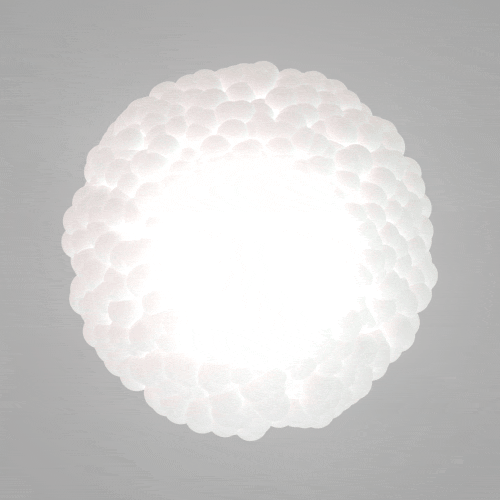 animation render GIF by Mathew Lucas 