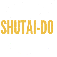 Martial Arts Sora Sticker by Champion Training Sanda Martial Art