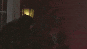 insuranceking zombie walking dead car insurance insurance king GIF