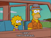 homer simpson GIF