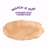 ElephantAttaofficial pink cooking sunshine sunny GIF