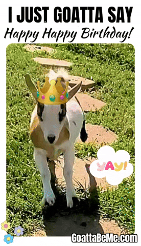 Happy Birthday Pets GIF by Goatta Be Me Goats! Adventures of Java, Toffee, Pumpkin and Cookie!