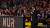 sport dunk GIF by easyCredit Basketball Bundesliga