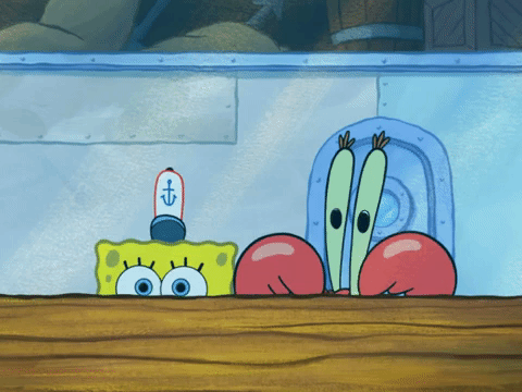 season 6 pet or pets GIF by SpongeBob SquarePants