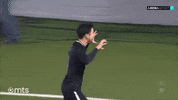 Partizan GIF by sportmts