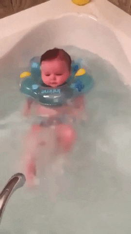 nicktan5813 giphyupload GIF