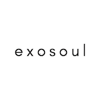 Exosoul Sticker by katscratch rekords
