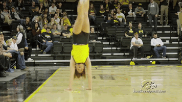 GIF by University of Iowa Hawkeyes Athletics