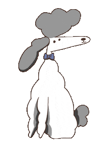 Illustration Poodle Sticker by eh sisters