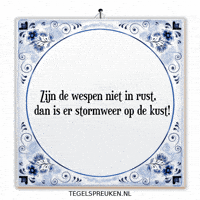 Wijsheid Spanning GIF by Tegelspreuken.nl