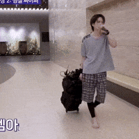 Sound System Singing GIF