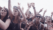 GIF by Lollapalooza
