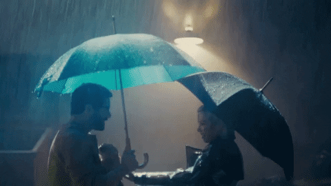 now that i found you cat GIF by Carly Rae Jepsen