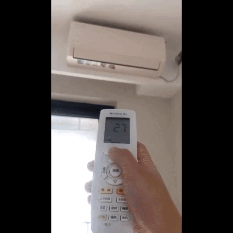 cuteanimalland giphyupload GIF