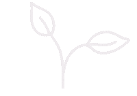 Flower Plants Sticker by Amiletters