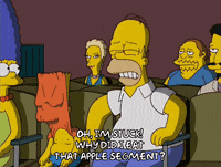 homer simpson episode 20 GIF