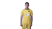 Guatemala Aguirre Sticker by VfB Lübeck