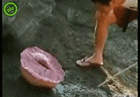 scenes GIF
