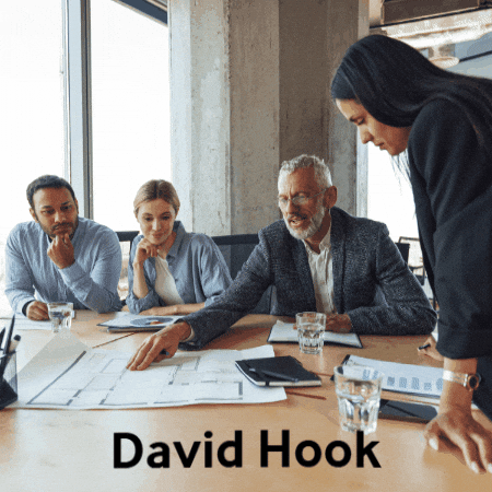 david-hook giphygifmaker GIF