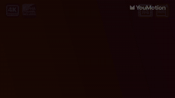 Flame Transitions