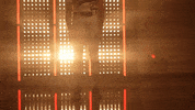 Crimson Tide Softball GIF by NCAA Championships