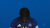 Look Up Hamburger Sv GIF by Bundesliga