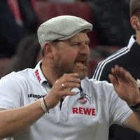 Come On Football GIF by 1. FC Köln