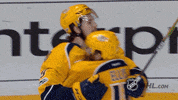 ice hockey fist pump GIF by NHL