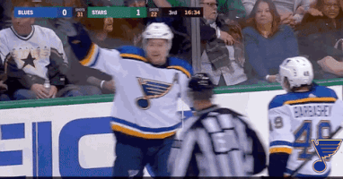 st louis sport GIF by St. Louis Blues