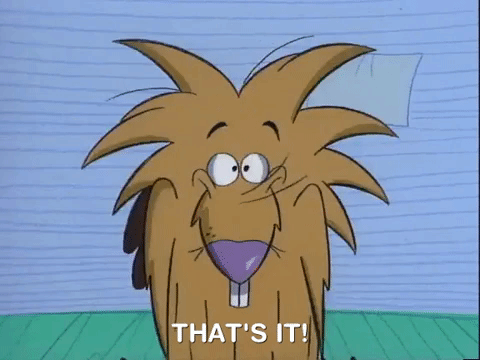 nickrewind giphydvr nicksplat angry beavers giphyab015 GIF