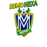 Cup Copa Sticker by Seguros MM
