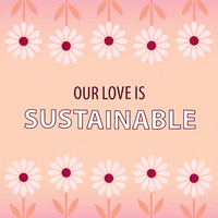 Valentines Day Flowers GIF by Susquehanna University