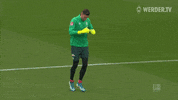Football Soccer GIF by SV Werder Bremen