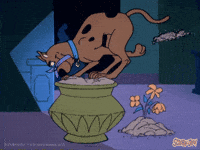 Scared Cartoon GIF by Scooby-Doo