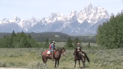 wyoming GIF